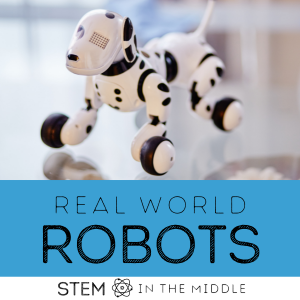 Real World Robots and dog robot