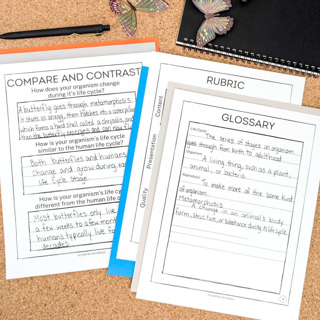 This image shows three worksheets. One is titled "Compare and Contrast." It is completed with student responses comparing and contrasting the butterfly life cycle to the human life cycle. The other worksheets are titled "Rubric" and "Glossary."