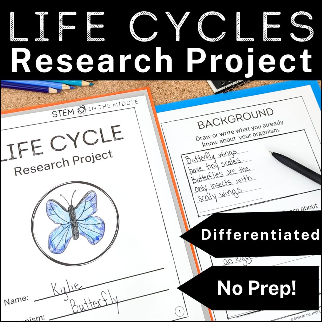 This image shows a worksheet titled "Life Cycle Research Project." There is a student drawing of a butterfly. The text reads, "Life Cycle Research Project: Differentiated, No Prep."