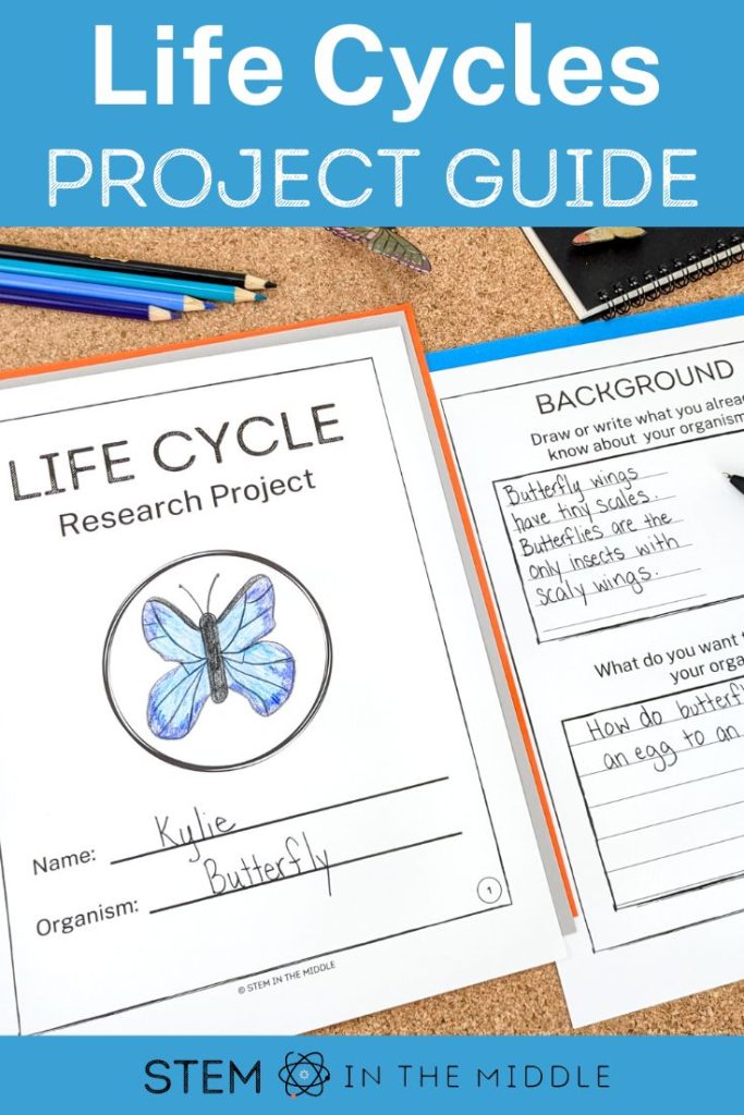 This image shows a worksheet titled "Life Cycle Research Project." There is a student drawing of a butterfly on the front. The text reads "Life Cycles: Project Guide."